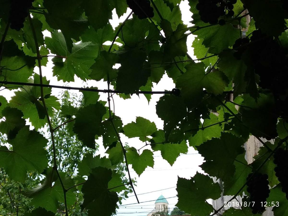 Guest house Downtown Kutaisi